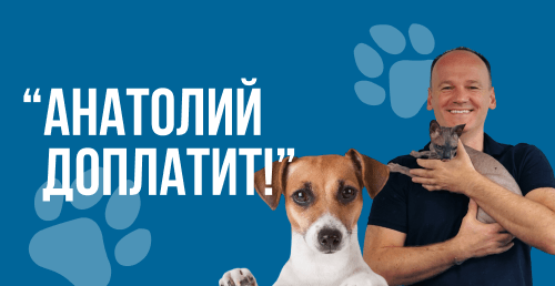 🔥"Анатолий доплатит!" Кастрация, стерилизация от 60р, вакцинация, обрезка когтей, чистка зубов от 8р в "ВеТеТа клиник"